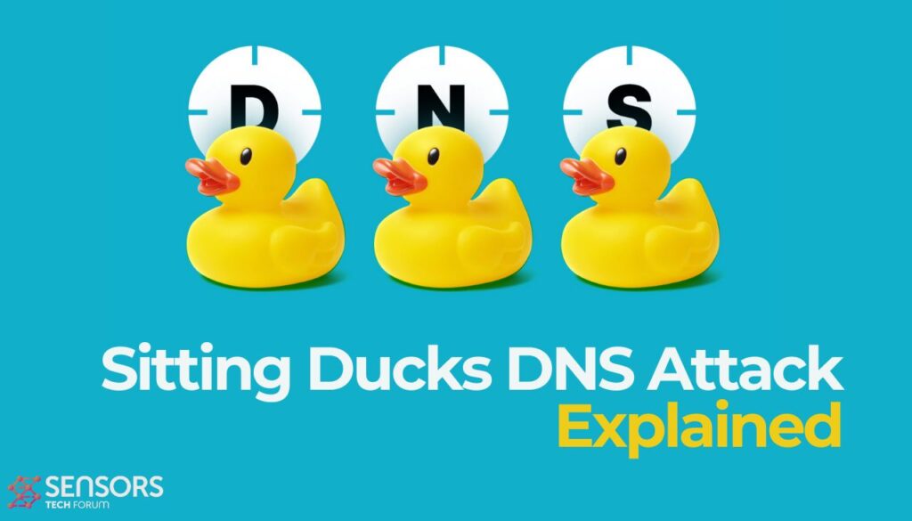 Over a Million Domains Vulnerable to Sitting Ducks DNS Attack Sitting Ducks DNS Attack Explained